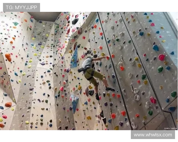 杭州攀岩队心理素质排名前十的最新研究成果揭示攀岩运动新趋势