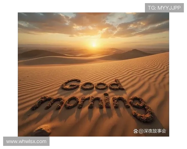 谢什科的传奇旅程与对未来的无限探索与启示