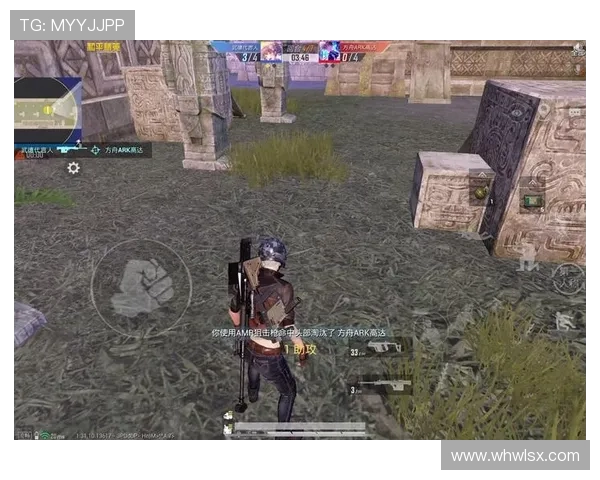 专访和平精英制作人赵秀英探讨成功背后的秘密与未来发展方向